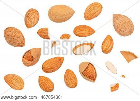 Flying Almonds Collection Isolated On White Background. Almond Nut Pattern Cloceup