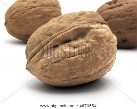 Řecký ořech