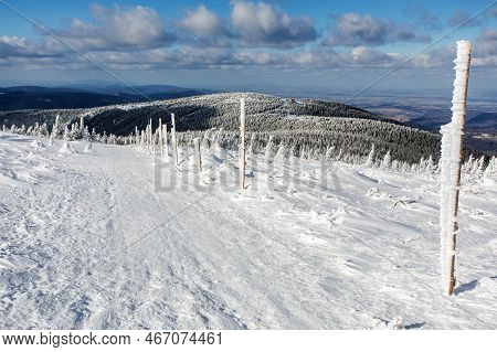 Beautiful Wintry View Of Snowy Forest On Mountains, Jeseniky Mountains, Czech Republic, Mountain Pat