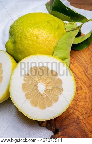Lemon Citron Cedrate Or Citrus Medica, Large Fragrant Citrus Fruit With Thick Rind