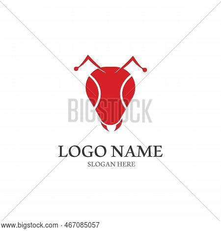 Ant Vector Illustration Design