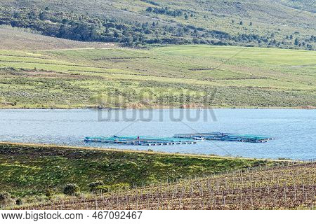 The Lomond Dam, With A Trout Farm Visible, On The Road Between Gansbaai And Baardskeerdersbos