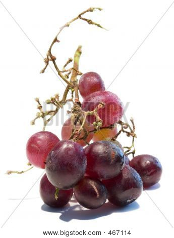 frische Weintrauben