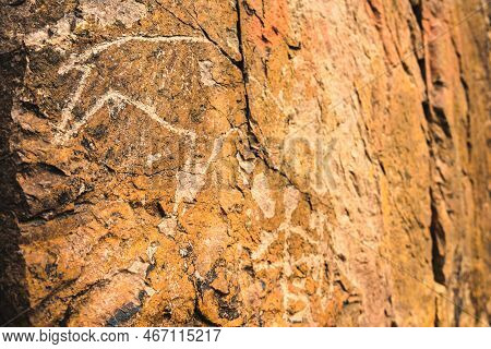 Archaeological Rock Carvings Of Animals. Petroglyphs On Stones Close Up