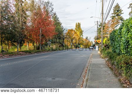 Autumn Trees Line A Streeet In Seatac, Washington.