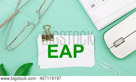 On A Light Green Background There Is A White Calculator, A Computer Mouse, Green Leaves Of A Plant, 