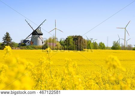 Blooming Rapeseed, Windmills Niechorze, Rewal, Baltic Sea