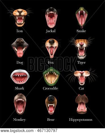 Open Animal Mouth Realistic Set With Lion Dog Shark Monkery Bear Fox Tiger Cat Snake And Others Isol