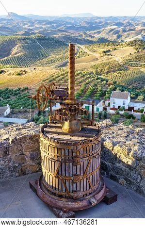 Old Press To Make Olive Oil Next To Fields Full Of Olive Trees In The Province Of Cadiz, Spain.