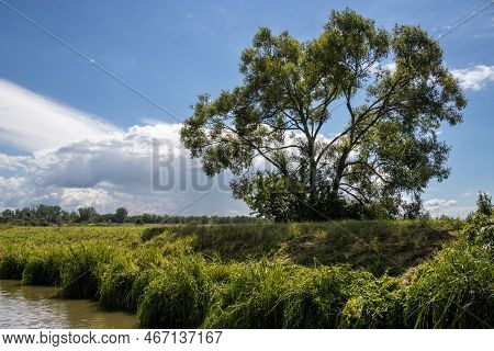 Canal Built Between Morava Part Of Czech And Slovakia By Bata. Beautiful Greenery Lining The Route, 