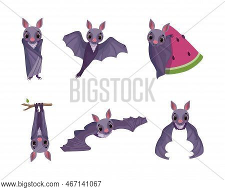 Funny Purple Bat With Cute Snout Flying With Watermelon And Hanging On Tree Branch Vector Set