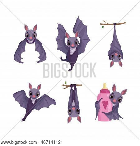 Funny Purple Bat With Cute Snout Flying, Embracing Milk Bottle And Hanging On Tree Branch Vector Set
