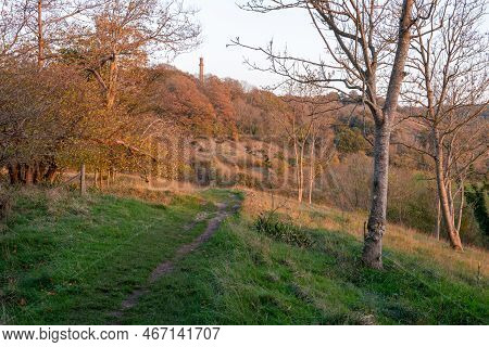 Landscape Photo Of The Autumn Colors At Dusk At The Admiral Hood Monument On The Polden Way Footpath