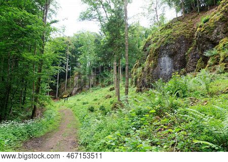 Hiking Path In The Eifel Mountains With Rocks And Trees Near Gerolstein, Germany