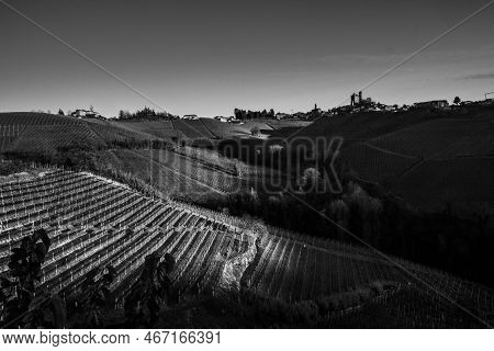 Black And White Images Of The Piedmontese Langhe In Serralunga D'alba In The Autumn Period In 2022