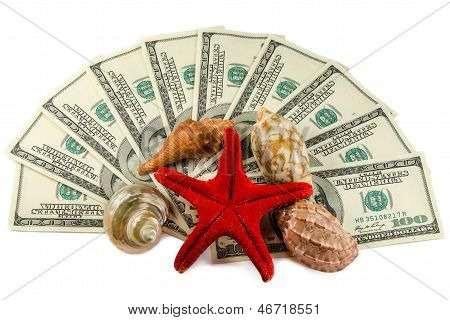 Conchiglie su dollari isolati