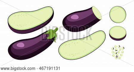 Whole, Cut And Sliced Eggplant Vector Illustrations Set. Collection Of Cartoon Drawings Of Halves, S