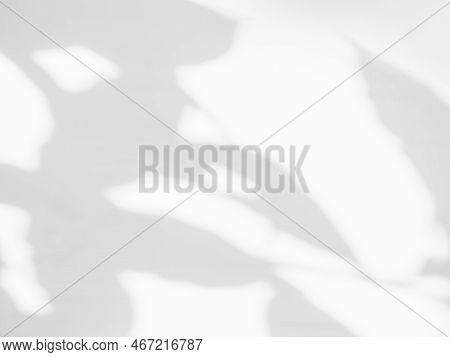 Abtract Overlay Shadow Leaves On Grey Cement Background,texture Surface Design Vintage Styles Backdr