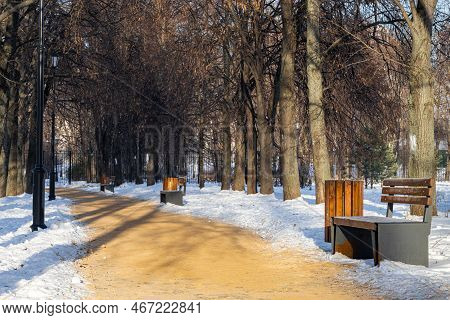 The Path In The Winter Park Sprinkled With Sand. Path In The Park In Winter. Alley In The Winter Par