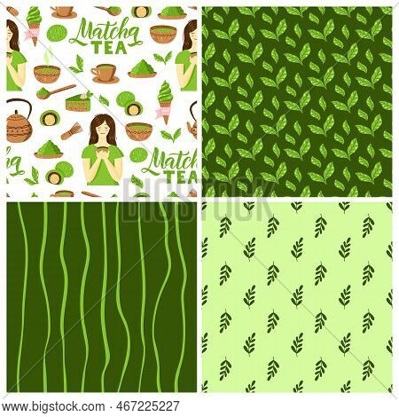 Matha Tea Leaf Organic Seamless Pattern Set. Floral Design Template For Packaging, Menu Restaurant, 