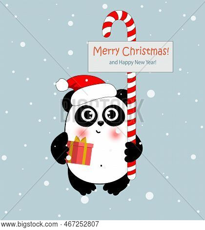 Christmas Panda In Santa Hat With Candy And Present Wish You A Merry Christmas And Haapy New Year. F