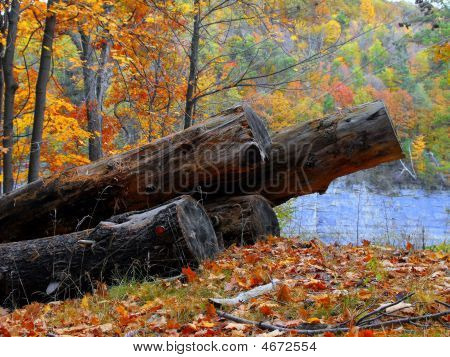 3Logs
