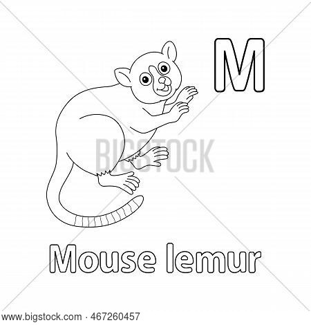 This Abc Vector Image Shows A Mouse Lemur Coloring Page. It Is Isolated On A White Background. Perfe