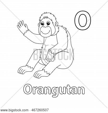 This Abc Vector Image Shows An Orangutan Animal Coloring Page. It Is Isolated On A White Background.
