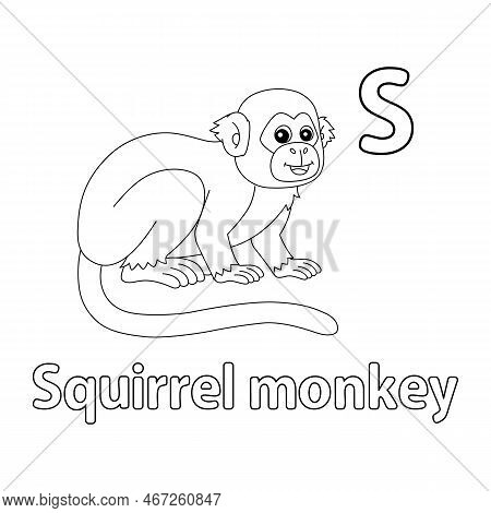 This Abc Vector Image Shows A Squirrel Monkey Coloring Page. It Is Isolated On A White Background. P
