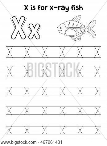 A Cute And Funny Tracing Page Of A X-ray Fish. Provides Hours Of Tracing Fun For Children. To Trace,