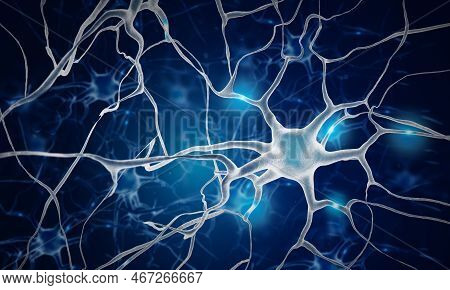 Neurons In The Brain. Nerve Cell. Neurone. Neuron Cells. Neurology. 3d Illustration.