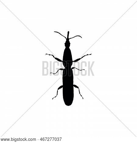 Bug Icon. 矢量图和照片（免费试用） | Bigstock