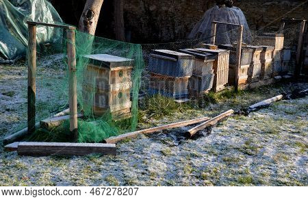 Covered Hives On An Apiary Using A Plastic Net. Protection From Birds In Winter. They Like To Bother