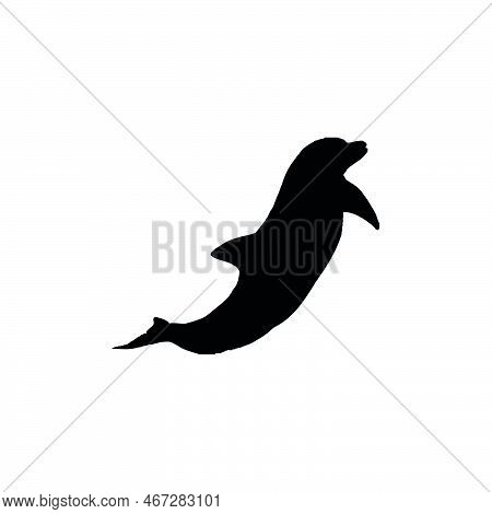 Dolphin Icon. Simple Style Dolphin Show Poster Background Symbol. Dolphin Brand Logo Design Element.
