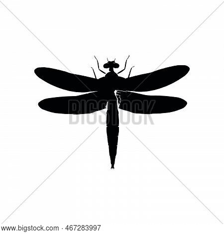 Dragonfly Icon. Simple Style Beauty Shop Big Sale Poster Background Symbol. Dragonfly Brand Logo Des