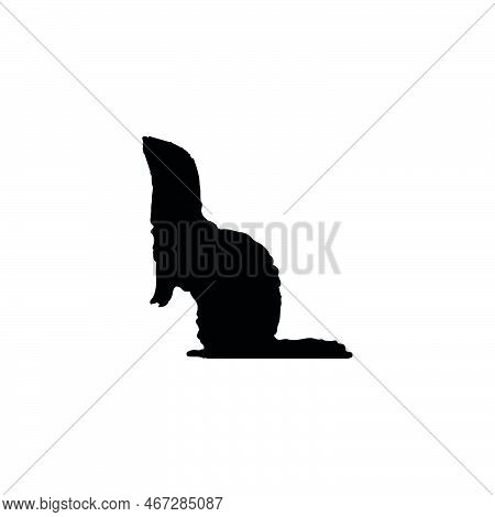 Ferret Icon. Simple Style Safari Travel Agency Big Sale Poster Background Symbol. Ferret Brand Logo 