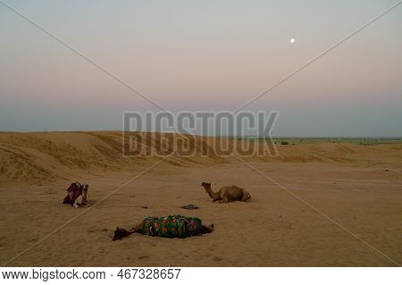 Moon Set At Har Desert Sand Dunes , Pre Dawn Light Before Sun Rise And Moon Setting Off In The Sky. 