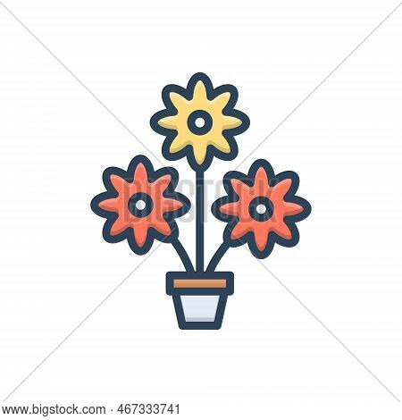 Color Illustration Icon For Flowers Bloom Garden-stuff Floweret Floret Plant Natural Flora