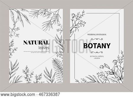 Vintage Botanic Fern, Floral Frame. Engraved Nature Garden, Eucalyptus Vegetation Leaf, Wedding Invi