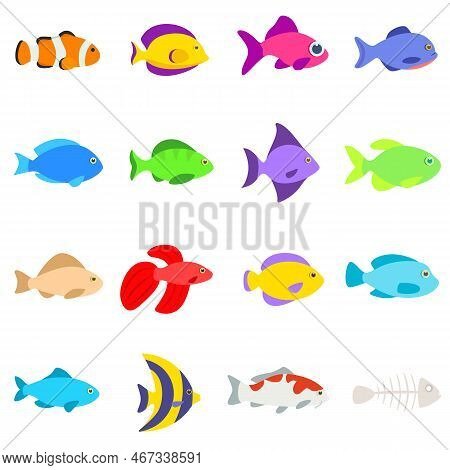 Set Of Different Fishes. Collection Of Aquarium And Tropical Fish. Isolated Vector Illustration.