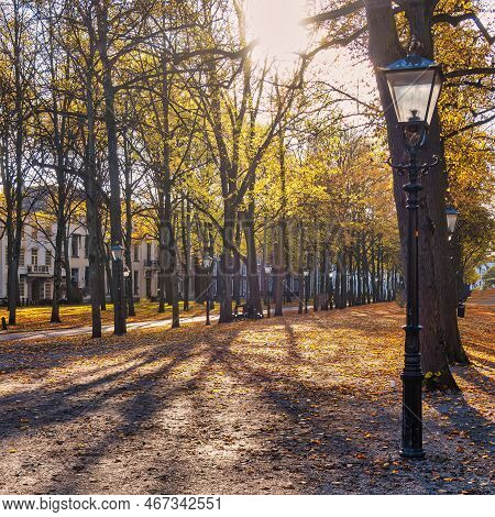 The Hague, Netherlands - October 23 2020 : A Stately Lane Or Avenue \