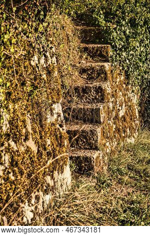 Menthon Saint Bernard, France - September 10 2020 : A View Of Completely Overgrown With Plants, Moss