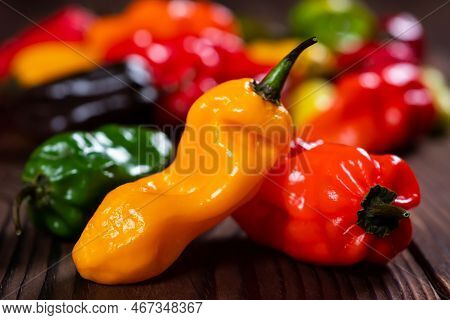 A Colorful Mix Of The Freshest And Hottest Chili Peppers.