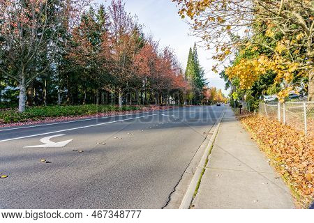 Autumn Trees Line A Streeet In Seatac, Washington.