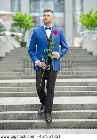 Elegant Man In Tux. Man Wearing Tux Bowtie Walking Outdoor. Handsome Tux Man With Red Rose