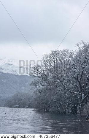 Beautiful Winter Landscape Image Of Snow Covered Trees On Shores Of Loch Lomond With Ben Lomond Moun