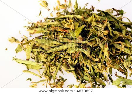 Stevia