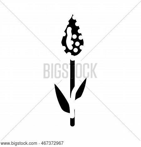Sorghum Plant Food Glyph Icon Vector. Sorghum Plant Food Sign. Isolated Symbol Illustration