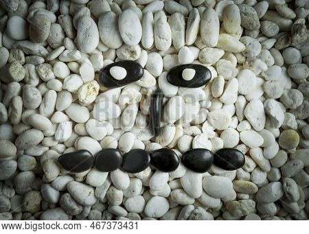 Stone Faces Small Black And White Stones With Sad Happy And Angry Faces