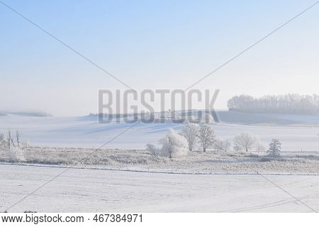 Icy Landscape With Frozen Trees In Thürer Wiesnen Eifel
